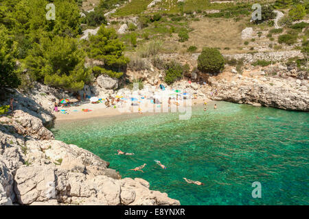 I turisti nuotare nella baia di Lucisca vicino Sveta Nedilja village, isola di Hvar, Croazia Foto Stock