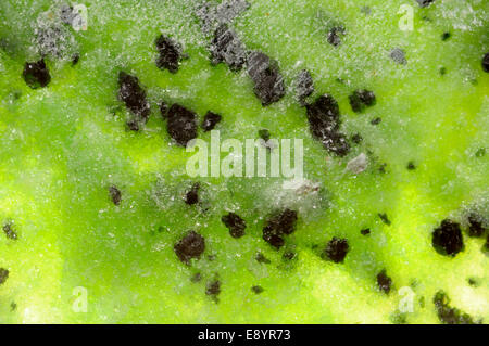 Anyolite - Zoisite verde con Ruby (dalla Tanzania) Foto Stock