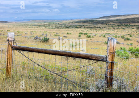 Aprire prairie, prati e scrub a secco e colline sotto un cielo luminoso vicino a Vermiglio, Nebraska, Stati Uniti d'America. Foto Stock