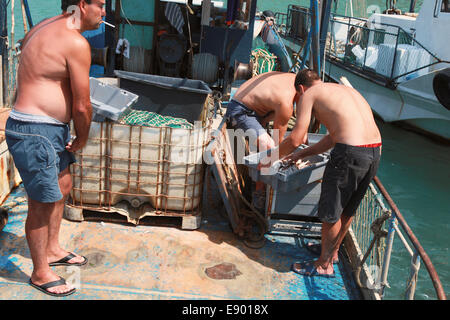 KAVARNA, BULGARIA - Luglio 18, 2014: i pescatori scaricare le catture di triglie sul ponte di piccole barche da pesca sul Mar Nero Foto Stock