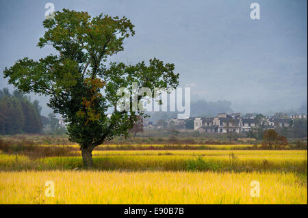 Huangshan, Cina. Xvii oct, 2014. Foto scattata il 17 ottobre 2014 illustra lo scenario di Hongcun villaggio di Yixian County, est cinese della provincia di Anhui. © Du Yu/Xinhua/Alamy Live News Foto Stock