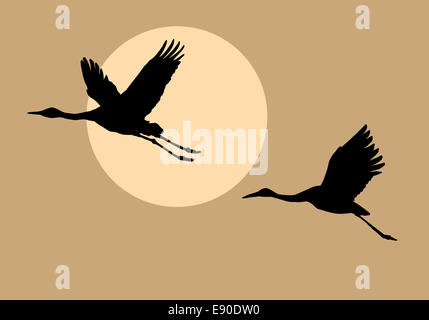 Sagome battenti gru su sfondo sun Foto Stock