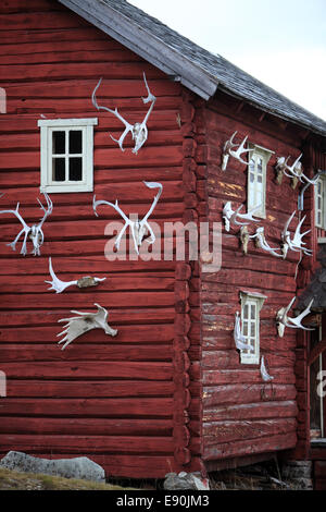 Capanna in Rondane NP Norvegia Foto Stock