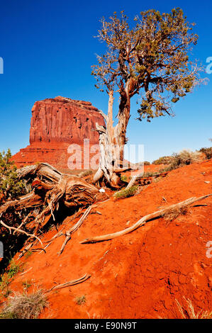 Valle del monumento Foto Stock