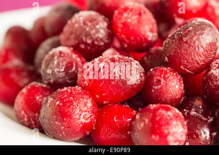 Il mirtillo rosso congelato su una piastra bianca Foto Stock