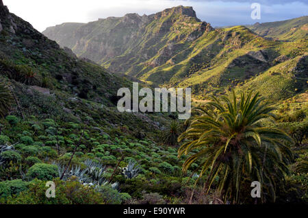 La Gomera Canarie Foto Stock