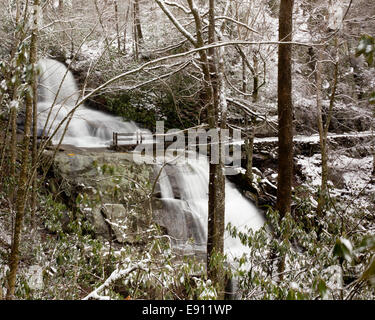 Laurel cade nelle Smoky Mountains nella neve Foto Stock