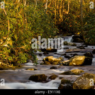 Flusso infuria in primavera a Smokies Foto Stock