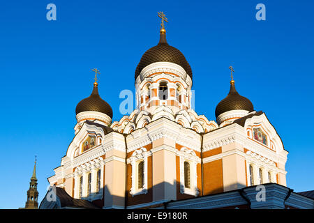 La Cattedrale Alexander Nevsky di Tallinn Foto Stock