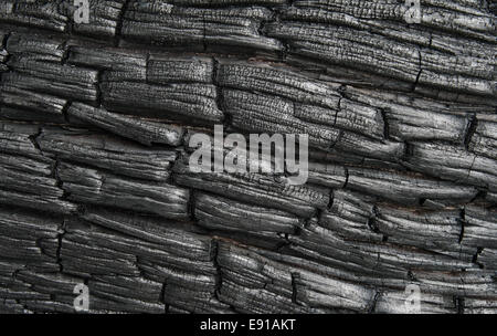 Texture in rilievo di legno bruciato Foto Stock