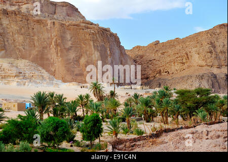 Ain Hudra (o Ayun Khodra) Oasis sotto imponenti scogliere a sud del deserto del Sinai un Accampamento Beduino popolare con i turisti, Egitto Foto Stock