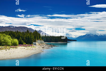 Lago Pukaki fino al Sud delle Alpi, Nuova Zelanda Foto Stock