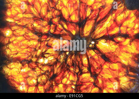 Sfondo in rosso e giallo Foto Stock