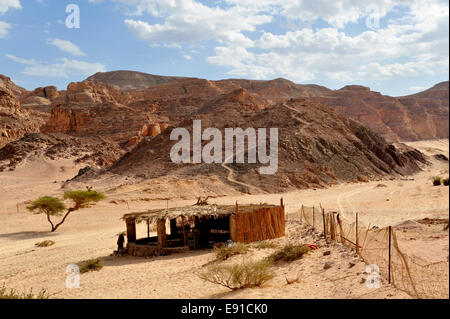 Riparo al di fuori Ain Hudra (o Ayun Khodra) oasi nel sud del deserto del Sinai un accampamento beduino, Egitto Foto Stock