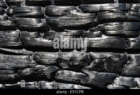 Texture in rilievo di legno bruciato Foto Stock