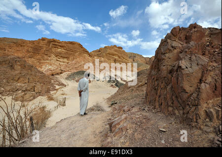 Arabo beduino nella contemplazione camminando lungo il percorso del deserto alla fine del Canyon Bianco Sinai del Sud nei pressi di Ain Hudra Oasis Foto Stock