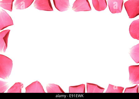 Il telaio da petali di rosa Foto Stock