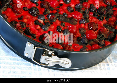 Preparare la torta di frutta nello stampo Foto Stock