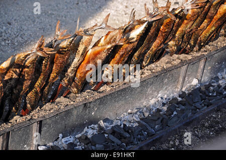 Sgombro alla griglia su un bastone Foto Stock