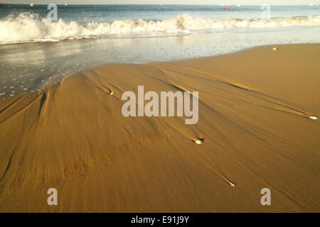 Le cozze sulla spiaggia Foto Stock