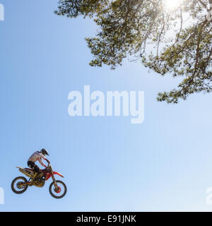 La sporcizia biker salta in aria in alto contro un cielo blu e treetop Foto Stock