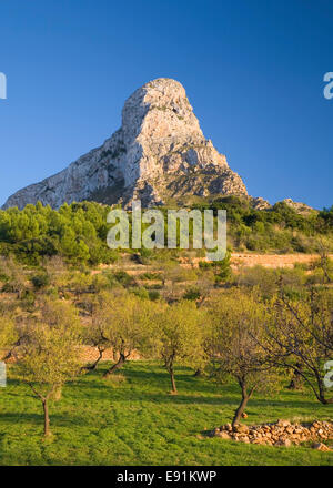 Colonia de Sant Pere, Maiorca, isole Baleari, Spagna. Vista su terreni agricoli a Puig de Ferrutx. Foto Stock