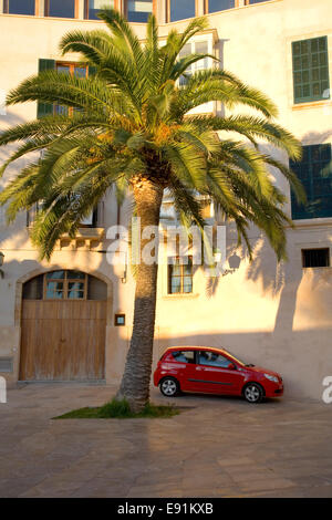 Palma de Mallorca, Maiorca, isole Baleari, Spagna. Auto rossa parcheggiato sotto palme vicino alla cattedrale. Foto Stock