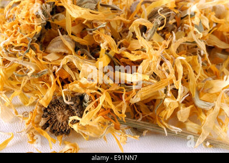 A base di erbe tè alla calendula Foto Stock