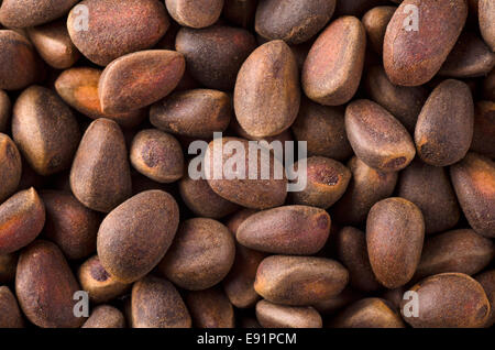 Pinoli Foto Stock