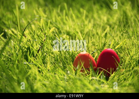 Uova di Pasqua rosse Foto Stock