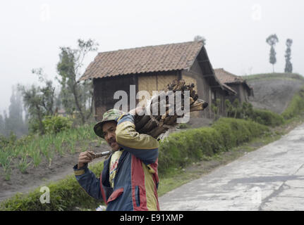 Uomo indonesiano Foto Stock