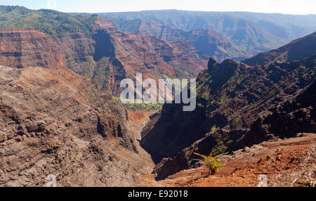 Il Canyon di Waimea a Kauai Foto Stock