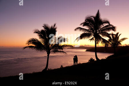 Matura la visione di sunrise in Kauai Foto Stock