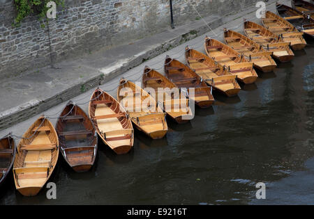 Linea di vuoto ormeggiate imbarcazioni a remi sul fiume usura Durham Regno Unito Foto Stock