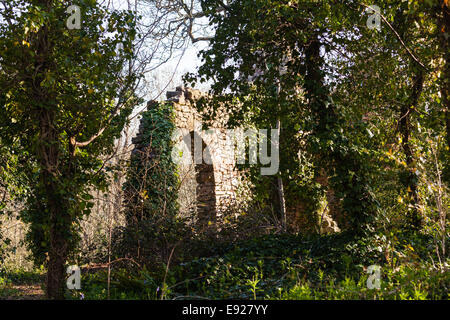 Il vecchio castello in rovina nel bosco Foto Stock