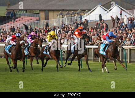 Newmarket, Regno Unito. Xvii oct, 2014. Newmarket Dubai futuri campioni al giorno. Royal Razalma sotto Richard Kingscote vincendo il Dubai Cornwallis Stakes ( Gruppo 3 ) Credito: Azione Sport Plus/Alamy Live News Foto Stock