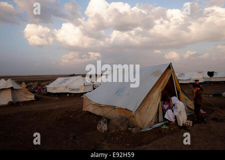 Un ricovero temporaneo tende in Nawroz Refugee Camp che è stata inizialmente istituita per shelter Aramei spostato dall'attuale siria guerra civile poi occupata dagli sfollati dalla minoranza setta Yazidi, che fuggono dalla violenza nella città irachena di Sinjar situato vicino alla città di al-Malikyah in Rojava autonoma curda, regione nord-orientale della Siria. Foto Stock