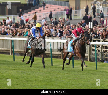 Newmarket, Regno Unito. Xvii oct, 2014. Newmarket Dubai futuri campioni al giorno. Belardo sotto Andrea Atzeni vincendo il Dubai DELTA NAT GAS picchetti (gruppo 1) Credito: Azione Sport Plus/Alamy Live News Foto Stock