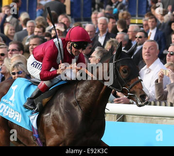 Newmarket, Regno Unito. Xvii oct, 2014. Newmarket Dubai futuri campioni al giorno. Belardo sotto Andrea Atzeni vincendo il Dubai DELTA NAT GAS picchetti (gruppo 1) Credito: Azione Sport Plus/Alamy Live News Foto Stock