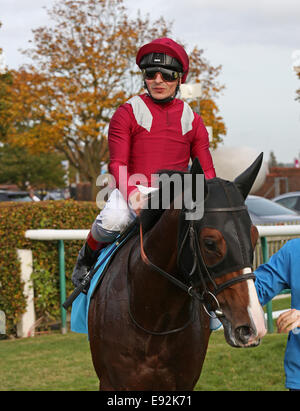 Newmarket, Regno Unito. Xvii oct, 2014. Newmarket Dubai futuri campioni al giorno. Belardo sotto Andrea Atzeni vincendo il Dubai DELTA NAT GAS picchetti (gruppo 1) Credito: Azione Sport Plus/Alamy Live News Foto Stock