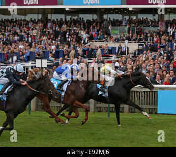 Newmarket, Regno Unito. Xvii oct, 2014. Newmarket Dubai futuri campioni al giorno. Berkshire sotto Jim Crowley vincendo il Darley picchetti (gruppo 3) Credito: Azione Sport Plus/Alamy Live News Foto Stock