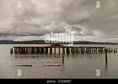 Pontile in legno in Coos Bay a North Bend Coos County Oregon negli Stati Uniti Foto Stock