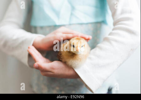 Ragazza giovane con le mani in mano azienda giovane pulcino Foto Stock