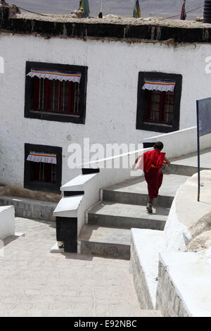 Giovane Monaco a Thiksay Gompa in Ladakh Foto Stock