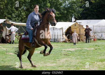 Allevamento di cavalli in un wild west show Foto Stock