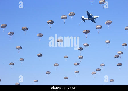 Paracadutisti nel cielo Foto Stock