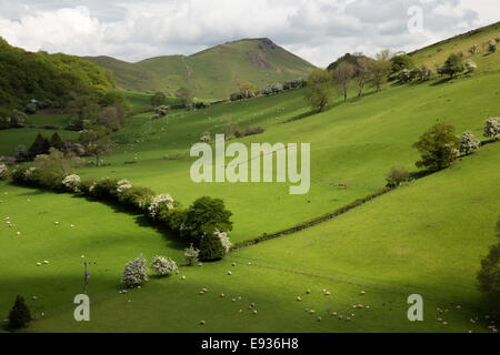 Shropshire sulle colline vicino a Church Stretton con Caer Caradoc e speranza Bowdler colline in lontananza, Shropshire, Inghilterra, Regno Unito Foto Stock