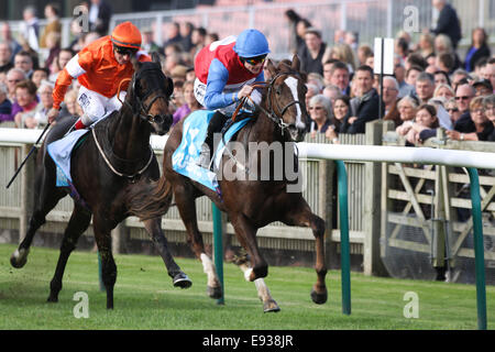 Newmarket, Regno Unito. 17 ottobre, 2014. Richard Kingscote riding Royal Razalma vince il Dubai Cornwallis picchetti durante i futuri campioni giorno racing a Newmarket Racecourse su ottobre 17, 2014 a Newmarket, Inghilterra. Credito: Andy prima/Alamy Live News Foto Stock