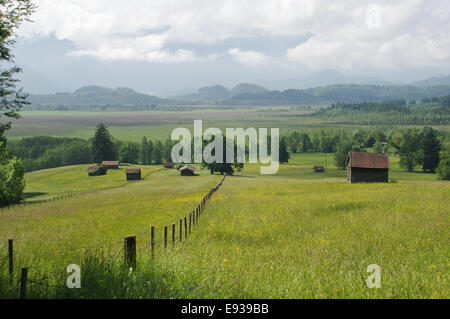 Vista rurale con prati e montagne sullo sfondo di Murnau, Bavaria Foto Stock