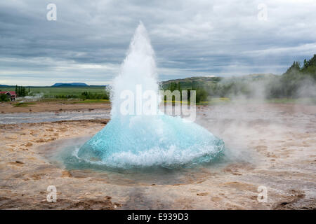 Strokkur geyser bolla pronta ad esplodere, Islanda in giugno Foto Stock
